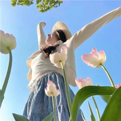 铁甲学堂续集之非常插班生